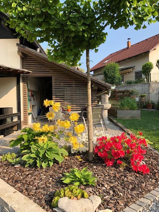 Apartma Nomad Novo Mesto Extérieur photo