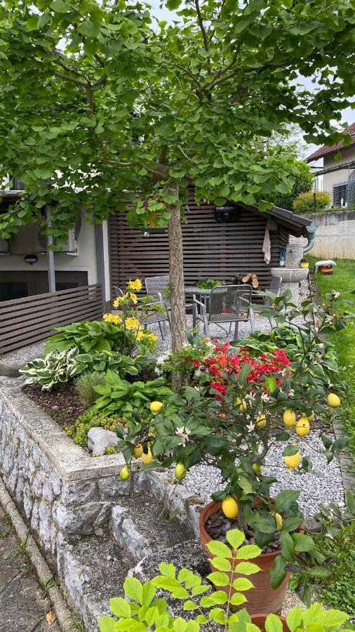Apartma Nomad Novo Mesto Extérieur photo
