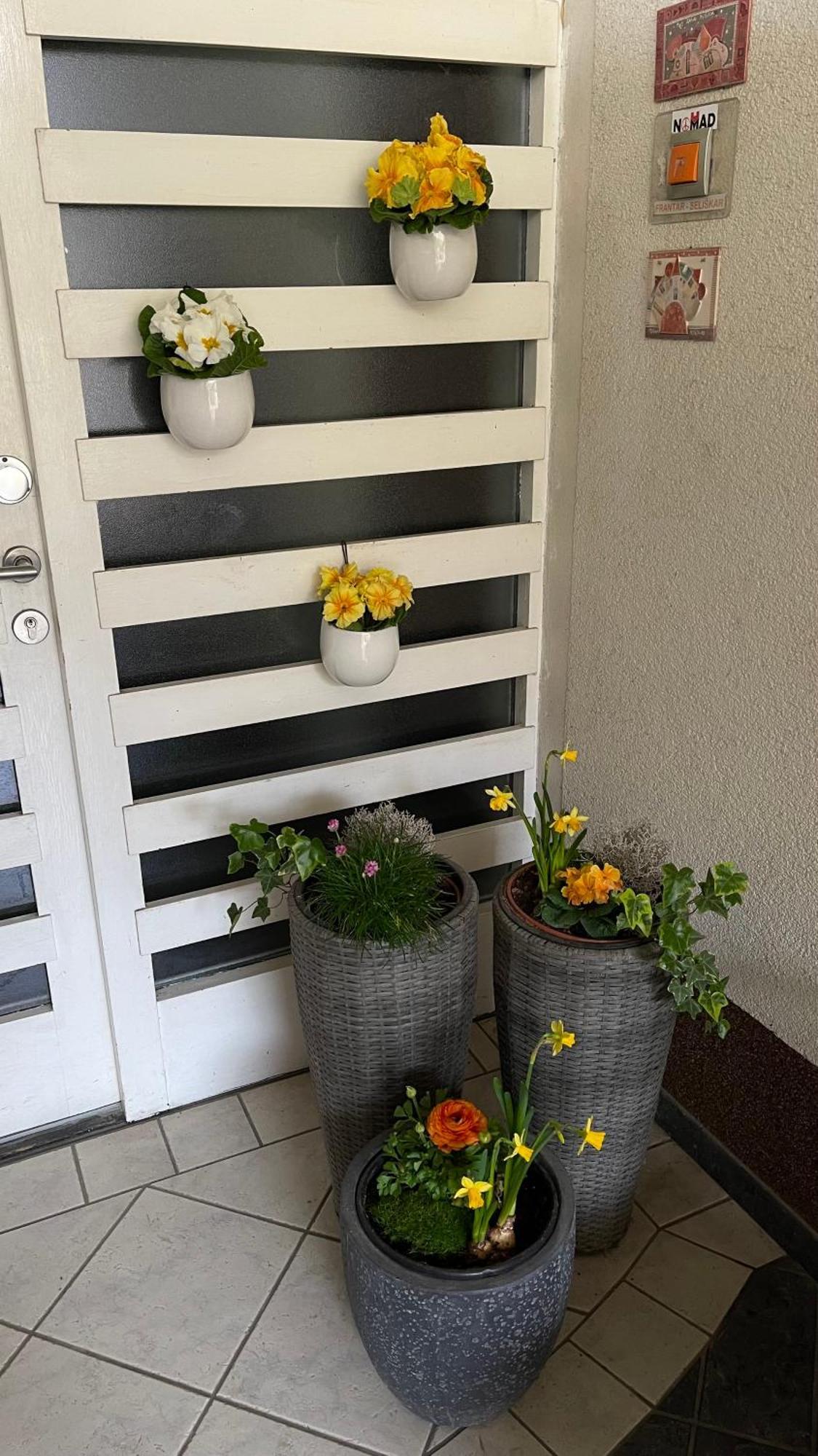 Apartma Nomad Novo Mesto Extérieur photo